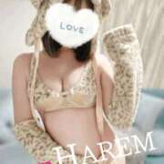 ヒメ日記 2025/11/23 23:24 投稿 ましろちゃん Porn HAREM 熊谷店