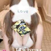 ヒメ日記 2025/11/26 23:14 投稿 ましろちゃん Porn HAREM 熊谷店