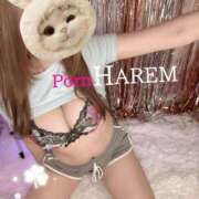 ヒメ日記 2026/04/22 09:44 投稿 ましろちゃん Porn HAREM 熊谷店