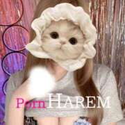 ヒメ日記 2026/07/27 09:34 投稿 ましろちゃん Porn HAREM 熊谷店