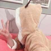 ヒメ日記 2024/12/24 22:15 投稿 いぶき 若葉