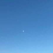 ヒメ日記 2025/02/18 07:18 投稿 いぶき 若葉