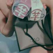 ヒメ日記 2025/02/19 00:05 投稿 いぶき 若葉