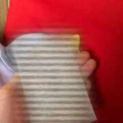 ヒメ日記 2025/04/04 11:25 投稿 いぶき 若葉