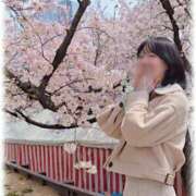 ヒメ日記 2025/04/05 15:20 投稿 柳風花-FUKA- Casual Rich 5（カジュアルリッチファイブ）