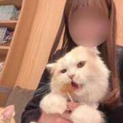 ヒメ日記 2025/01/27 12:02 投稿 理香子-KINDAN- KINDAN-禁断-