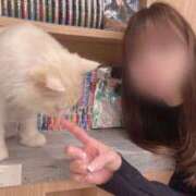 ヒメ日記 2025/02/06 22:45 投稿 理香子-KINDAN- KINDAN-禁断-