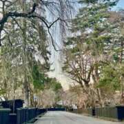 ヒメ日記 2025/03/31 11:22 投稿 理香子-KINDAN- KINDAN-禁断-