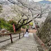 ヒメ日記 2025/04/07 22:18 投稿 理香子-KINDAN- KINDAN-禁断-