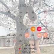 ヒメ日記 2025/04/14 18:19 投稿 理香子-KINDAN- KINDAN-禁断-