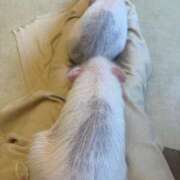 ヒメ日記 2025/05/05 21:24 投稿 理香子-KINDAN- KINDAN-禁断-