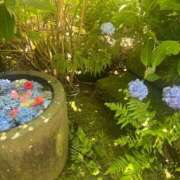 ヒメ日記 2025/06/11 01:38 投稿 理香子-KINDAN- KINDAN-禁断-