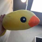 ヒメ日記 2025/10/09 20:33 投稿 理香子-KINDAN- KINDAN-禁断-