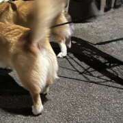 ヒメ日記 2025/11/21 18:29 投稿 理香子-KINDAN- KINDAN-禁断-