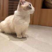 ヒメ日記 2026/03/05 18:01 投稿 理香子-KINDAN- KINDAN-禁断-