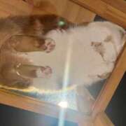 ヒメ日記 2026/03/06 09:11 投稿 理香子-KINDAN- KINDAN-禁断-