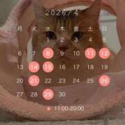 ヒメ日記 2026/03/20 11:18 投稿 理香子-KINDAN- KINDAN-禁断-