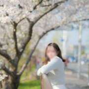 ヒメ日記 2026/04/08 19:32 投稿 理香子-KINDAN- KINDAN-禁断-