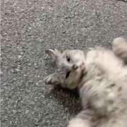 ヒメ日記 2026/05/08 20:39 投稿 理香子-KINDAN- KINDAN-禁断-