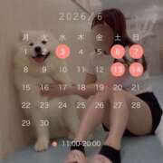 ヒメ日記 2026/05/31 09:12 投稿 理香子-KINDAN- KINDAN-禁断-