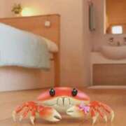 ヒメ日記 2026/01/11 16:02 投稿 かな 錦センター