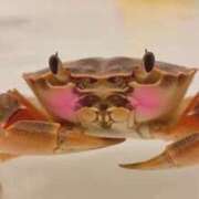 ヒメ日記 2026/03/05 13:22 投稿 かな 錦センター