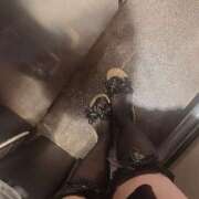 ヒメ日記 2024/12/29 12:45 投稿 ねね Felice(フェリス)