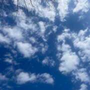 ヒメ日記 2025/03/20 15:04 投稿 ねね Felice(フェリス)