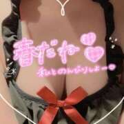 ヒメ日記 2025/04/15 15:30 投稿 ねね Felice(フェリス)