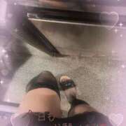 ヒメ日記 2025/06/07 16:02 投稿 ねね Felice(フェリス)