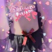 ヒメ日記 2025/06/22 13:01 投稿 ねね Felice(フェリス)