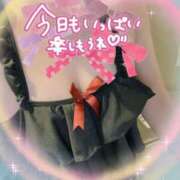 ヒメ日記 2025/06/29 11:15 投稿 ねね Felice(フェリス)