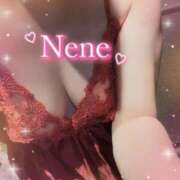 ヒメ日記 2025/08/21 16:01 投稿 ねね Felice(フェリス)