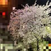 ヒメ日記 2026/04/06 16:01 投稿 ねね Felice(フェリス)