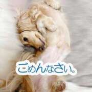 ヒメ日記 2025/03/26 13:18 投稿 れん リッチドールパート2梅田店