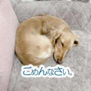 ヒメ日記 2025/04/17 16:15 投稿 れん リッチドールパート2梅田店