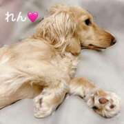 ヒメ日記 2025/07/15 12:45 投稿 れん リッチドールパート2梅田店