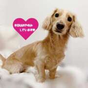 ヒメ日記 2025/12/18 10:34 投稿 れん リッチドールパート2梅田店