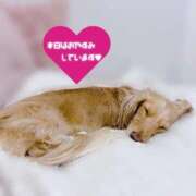 れん お休みです🥲 リッチドールパート2梅田店