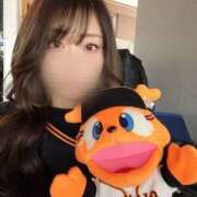 ヒメ日記 2025/12/31 13:00 投稿 Ami PROPORTION