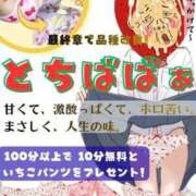 ヒメ日記 2026/04/14 20:02 投稿 ほいみ 熟女の風俗最終章 宇都宮店
