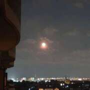 ヒメ日記 2024/12/19 10:39 投稿 ふう 多治見・土岐・春日井ちゃんこ