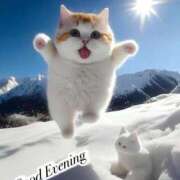 ヒメ日記 2025/02/11 10:39 投稿 ふう 多治見・土岐・春日井ちゃんこ