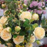 ヒメ日記 2025/06/28 23:29 投稿 ふう 多治見・土岐・春日井ちゃんこ