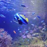 ヒメ日記 2025/08/15 18:19 投稿 ふう 多治見・土岐・春日井ちゃんこ