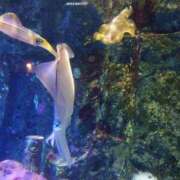 ヒメ日記 2025/08/15 18:29 投稿 ふう 多治見・土岐・春日井ちゃんこ