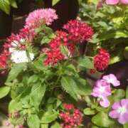 ヒメ日記 2025/10/19 17:19 投稿 ふう 多治見・土岐・春日井ちゃんこ