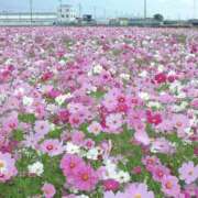 ヒメ日記 2025/10/27 16:19 投稿 ふう 多治見・土岐・春日井ちゃんこ