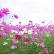 ヒメ日記 2025/10/30 22:26 投稿 ふう 多治見・土岐・春日井ちゃんこ