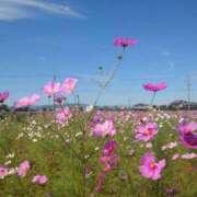 ヒメ日記 2025/11/02 17:16 投稿 ふう 多治見・土岐・春日井ちゃんこ